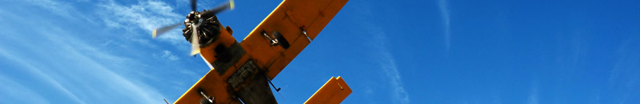 Anders Rotating Header Image